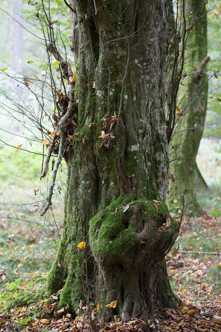 20231014100727 3K6A2217